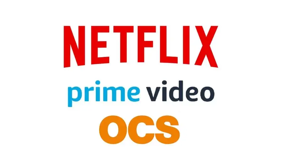 Netflix, Amazon Prime Video, OCS : les films et séries à ne pas rater en novembre
