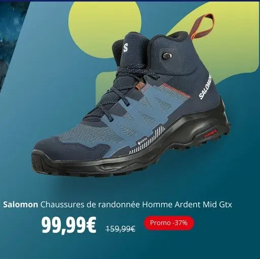 Chaussures de randonnée Homme ARDENT MID GTX SALOMON pas cher - Chaussures Homme Intersport