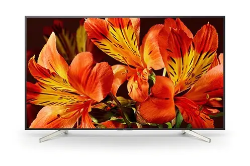 TV LED Sony KD65XF8596 4 HDR