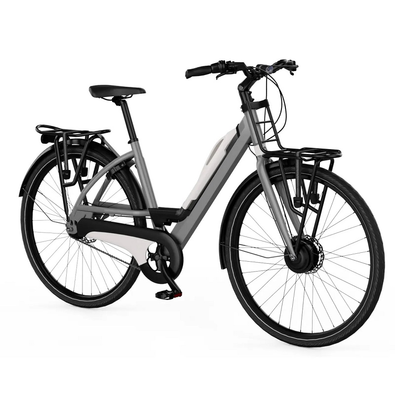 BAYCK Vélo électrique Express Transporter pas cher - Vélo Electrique Go Sport