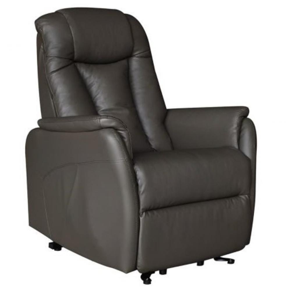 Inside75 Fauteuil relax releveur NERSAC bi-moteur Cuir