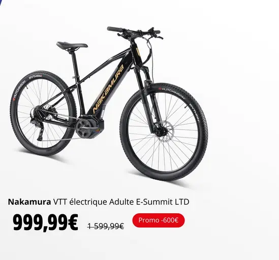 VTT électrique adulte E-SUMMIT LTD NAKAMURA 25km/h Autonomie 60 Km pas cher 600€ de Réduction chez INSTERSPORT