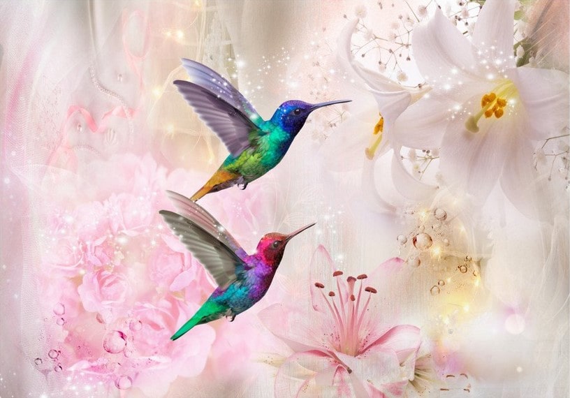 Papier peint Colourful Hummingbirds Pink