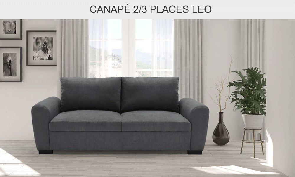 LEO Canapé droit 2,5 places Tissu gris