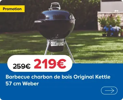 Barbecue charbon bois Weber Original KETTLE Premium pas cher - Barbecue Castorama