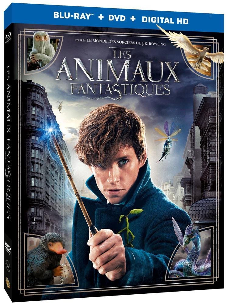 Les Animaux fantastiques [Combo Blu-ray + DVD], Blu-ray pas cher Amazon