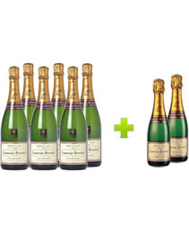 Promo Champagne Savourclub - Champagne Laurent Perrier Brut - 6 bouteilles- prix 192 Euros savourclub.fr