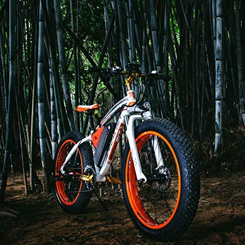 eBike RICHBIT VTT Vélo électrique Hybride Homme de Montagne RLH-022