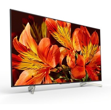 TV LED Sony KD65XF8596 4 HDR, Téléviseur 4K Darty