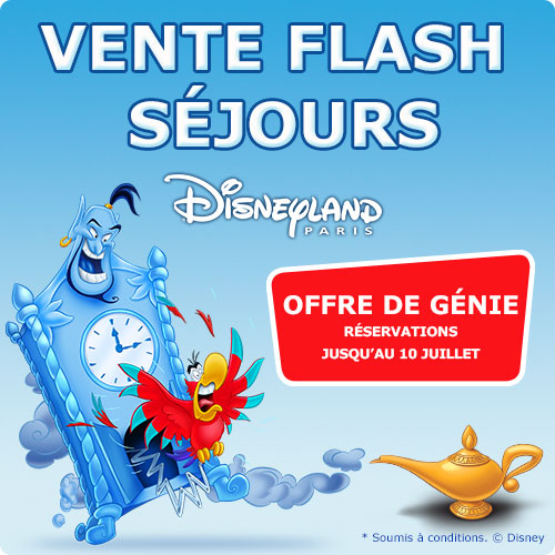Vente flash Disneyland Paris