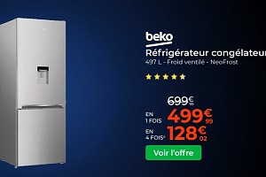 BEKO RCNE560K40DSN Réfrigérateur congélateur bas 497 L