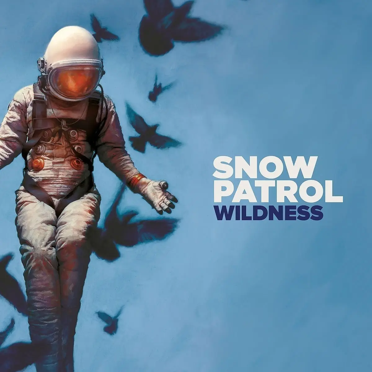 Wildness - Snow Patrol, CD pas cher Amazon