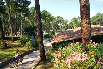 Camping Les Oyats SEIGNOSSE Prix Camping and Co 252,00 Euros